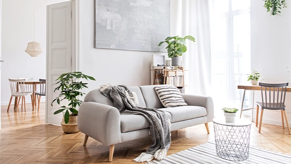 Stylish Scandinavian living room design