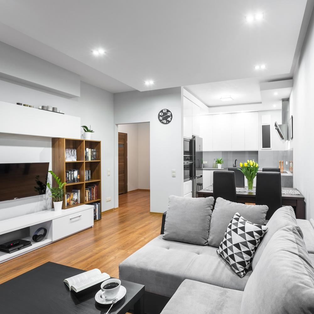 Contemporary 1 BHK flat interior design photos and ideas space 2/2
