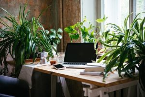 Vastu for home office with natural light and green workspace setup