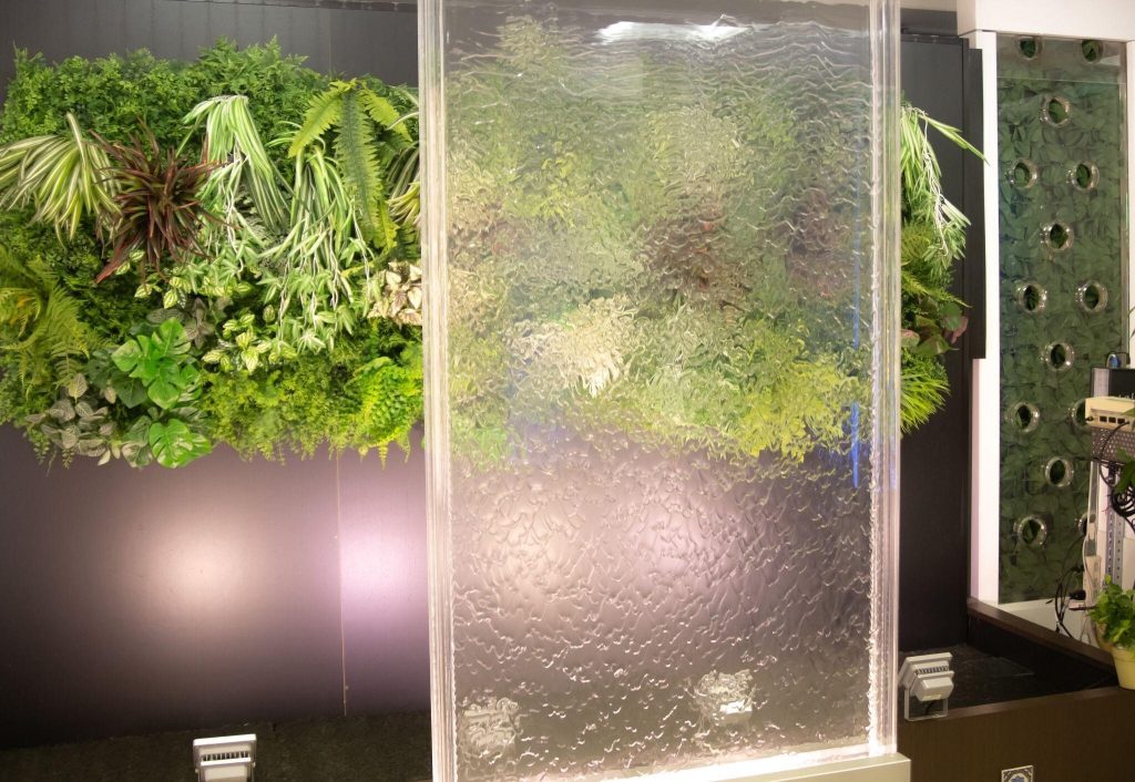 Modern wall acrylic sheet design enhancing indoor greenery with natural lighting