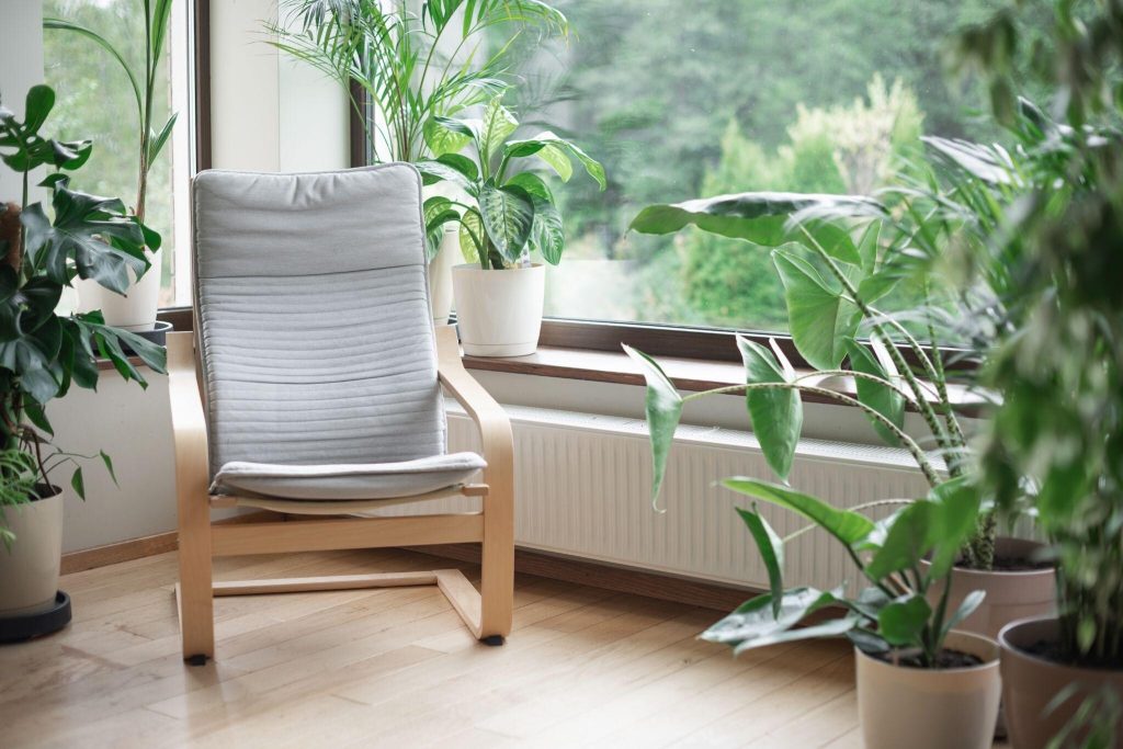 Modern furniture design trends 2026 lounge chair with indoor plants and natural light