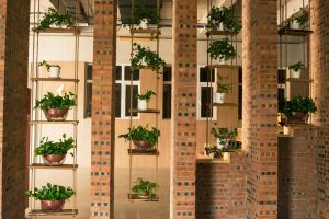 Modern Tamil Nadu house designs with exposed brick walls and hanging planters creating a lush biophilic interior
