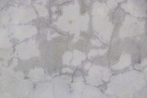 Effective Prevent Dampness in Cupboards solution with visible wall moisture patches and damage signs