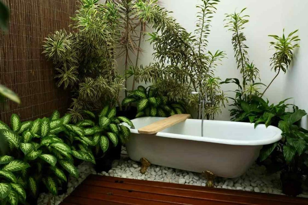 Small outdoor bathroom tub tropical plants pebble floor