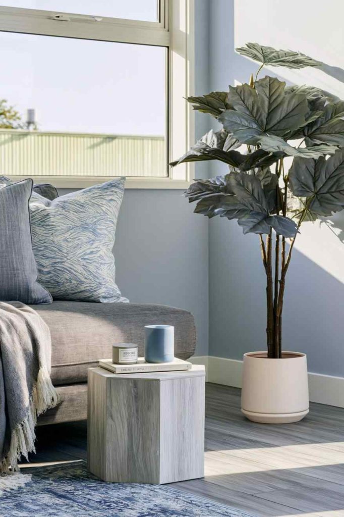Indoor landscaping plant corner living room